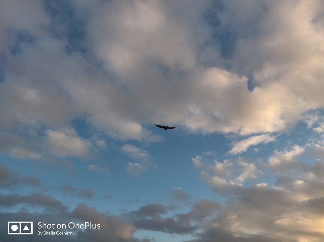 圣西蒙戴斯酒店主图