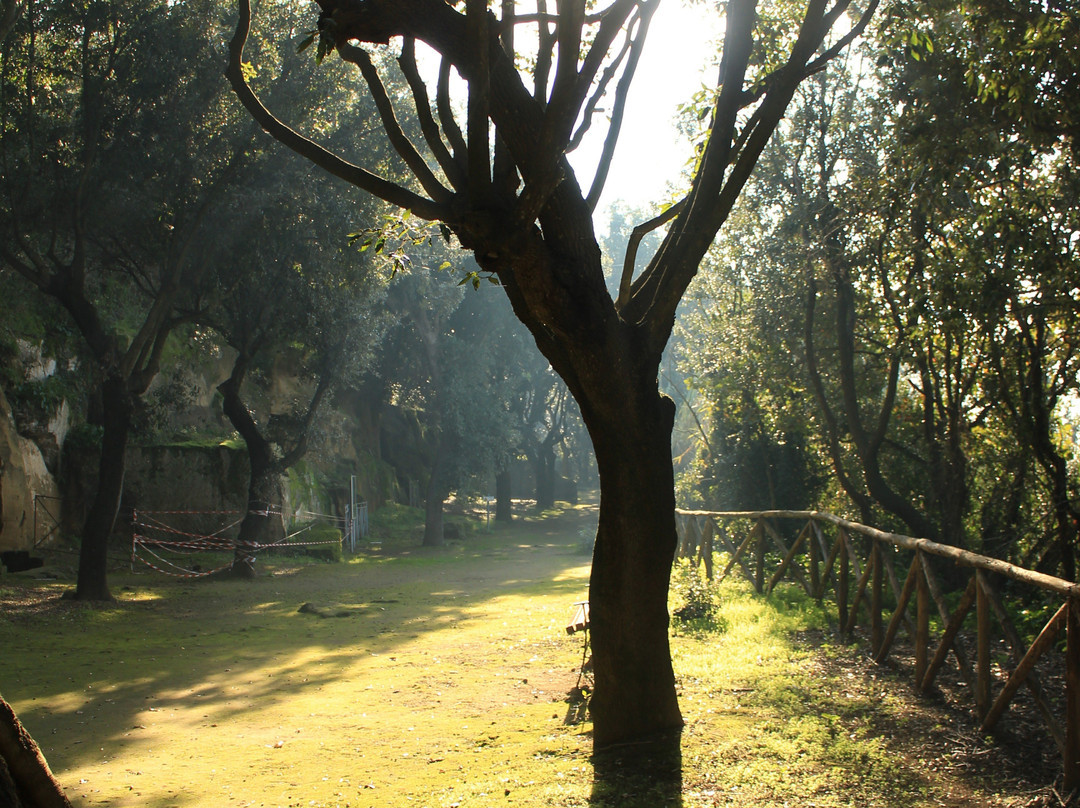 Parco Archeologico di Cuma景点图片