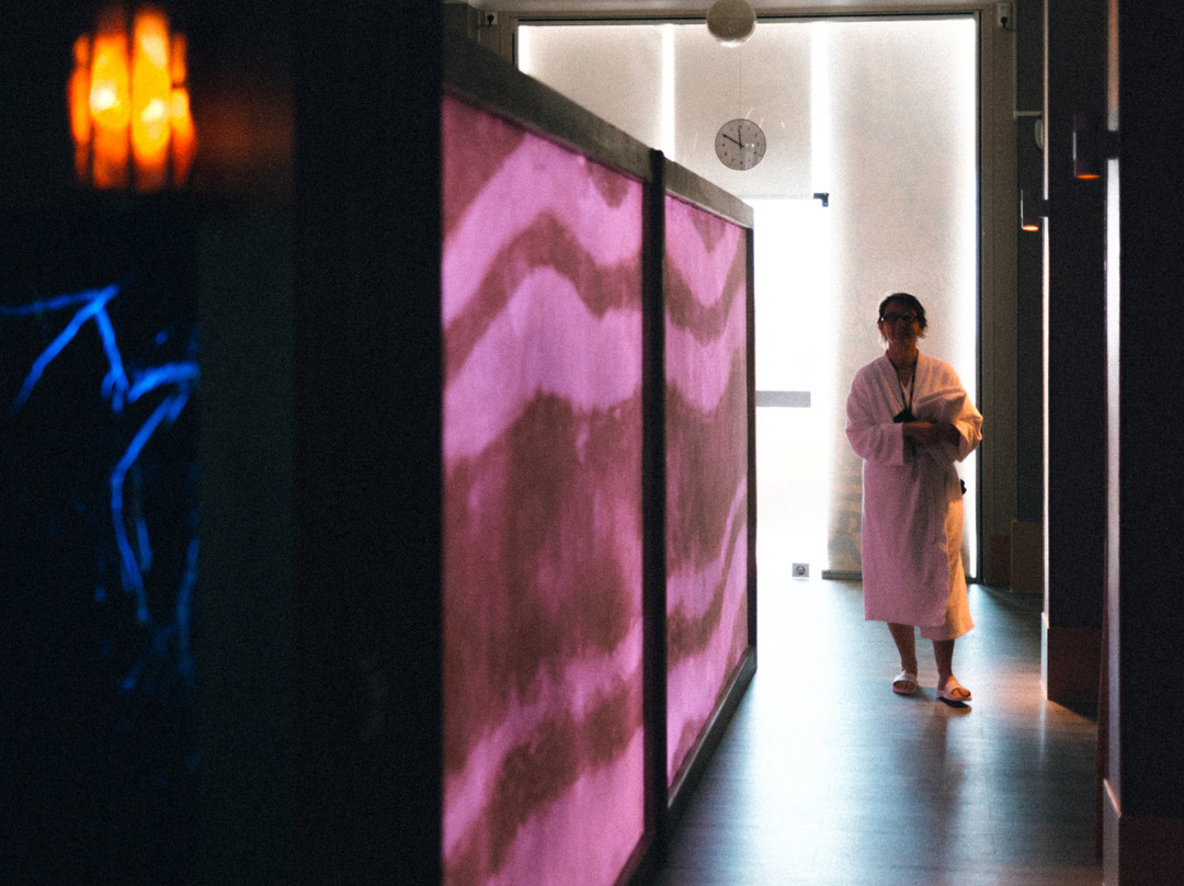 Thermes des Dômes景点图片