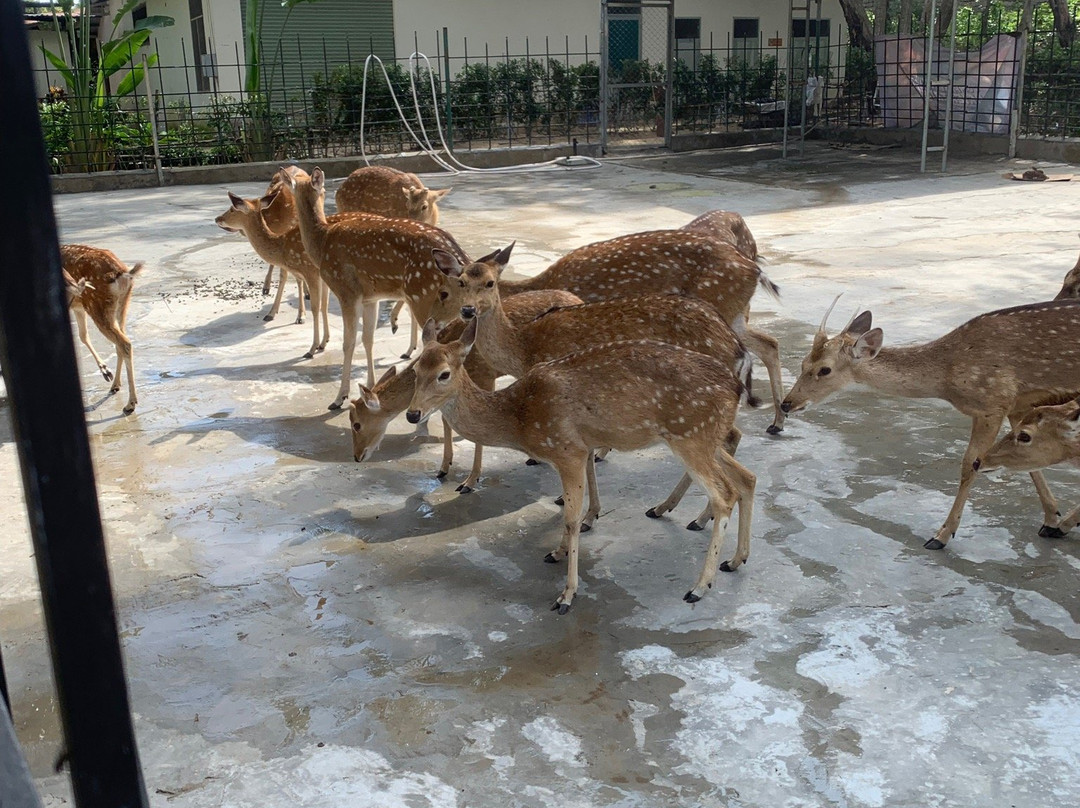 Diamond Bay Golf & Villas-芽庄必去景点