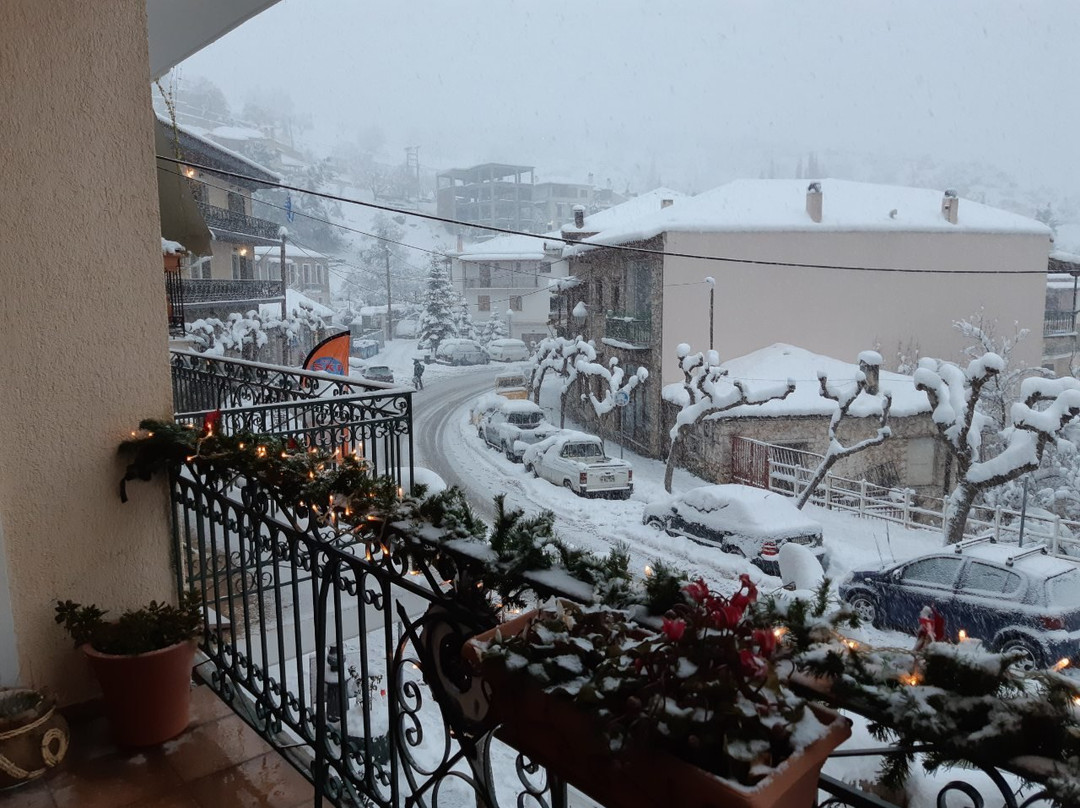 Iris Guesthouse主图