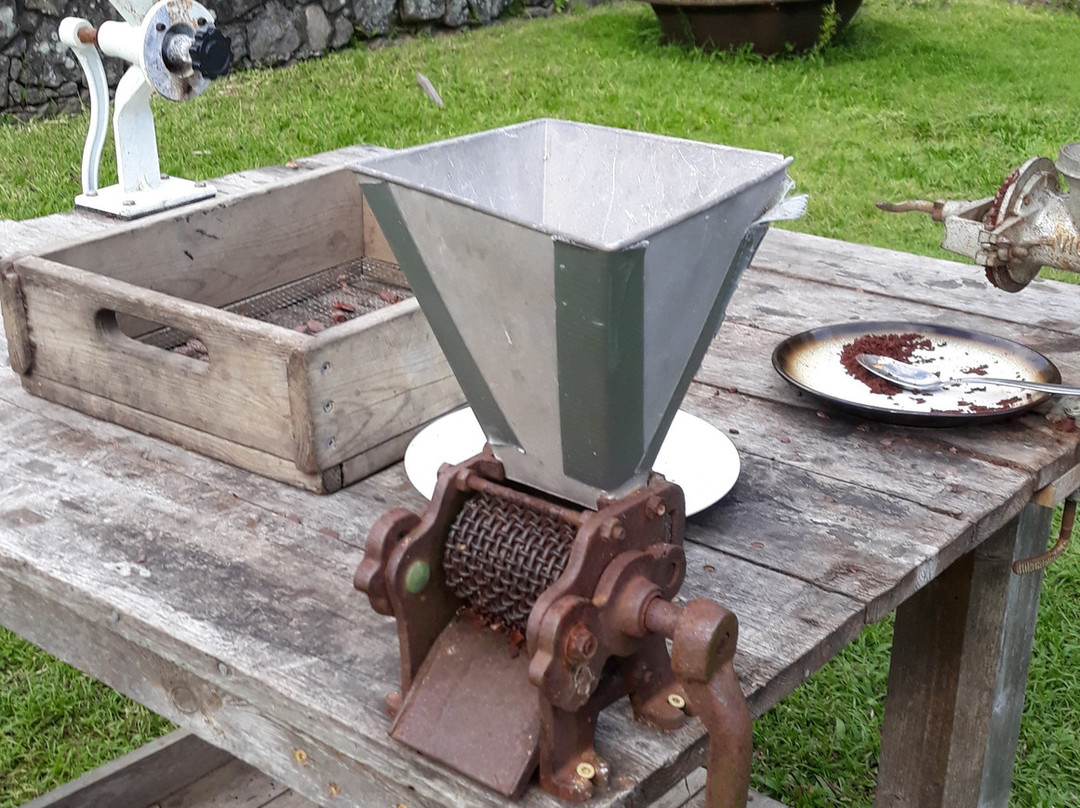 Bois Cotlette Estate-Saint Mark Parish必去景点