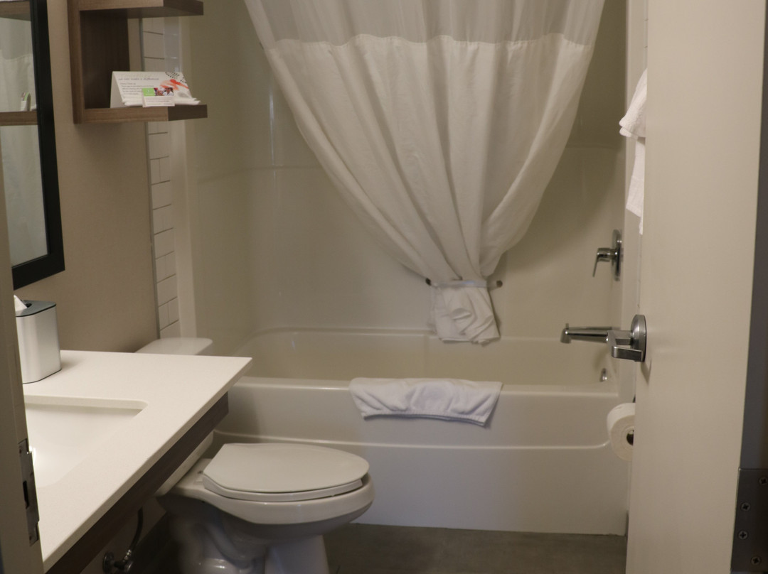 Canalta Airdrie主图