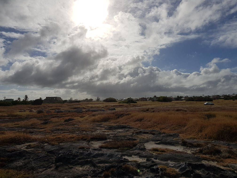 Cave Bay-Bottom Bay必去景点