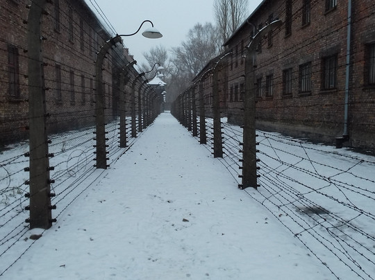 Poland Active - Day Tours-克拉科夫必去景点