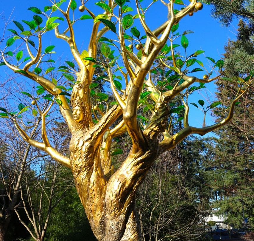 International Friendship Garden-阿伯茨福德必去景点