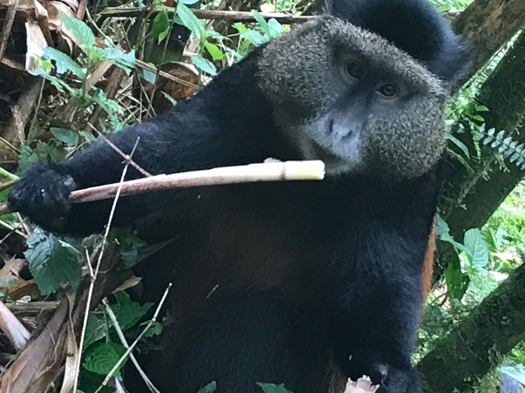 Nature Expeditions Africa-吉佳利必去景点