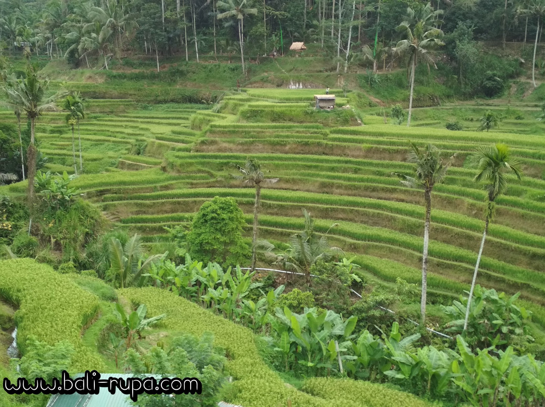 Bali Rupa景点图片