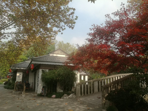 康健园-上海市必去景点