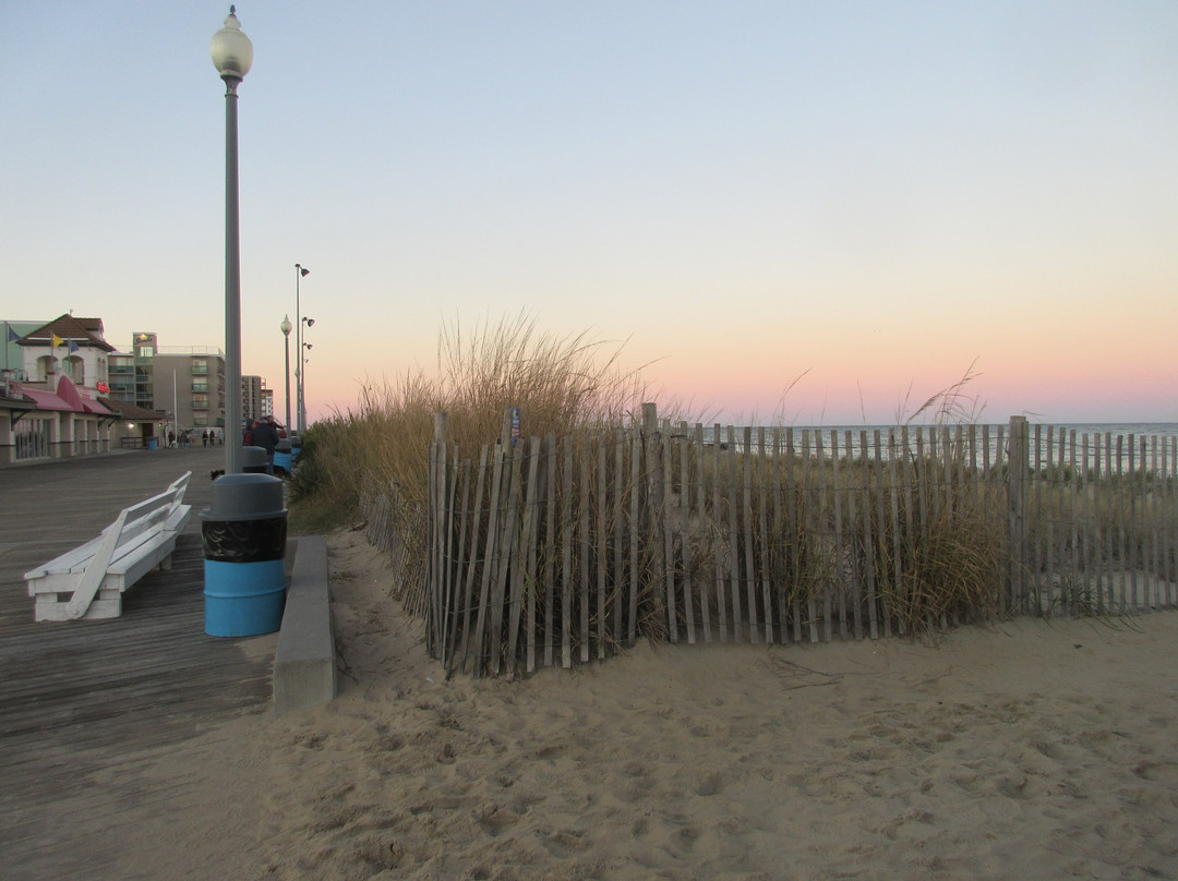 Dune Nature Park-里霍博斯比奇必去景点
