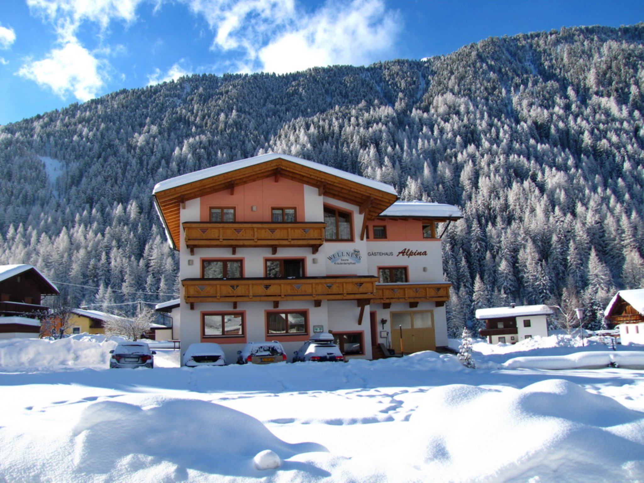 Haus Alpina & Landhaus Schopf-官方