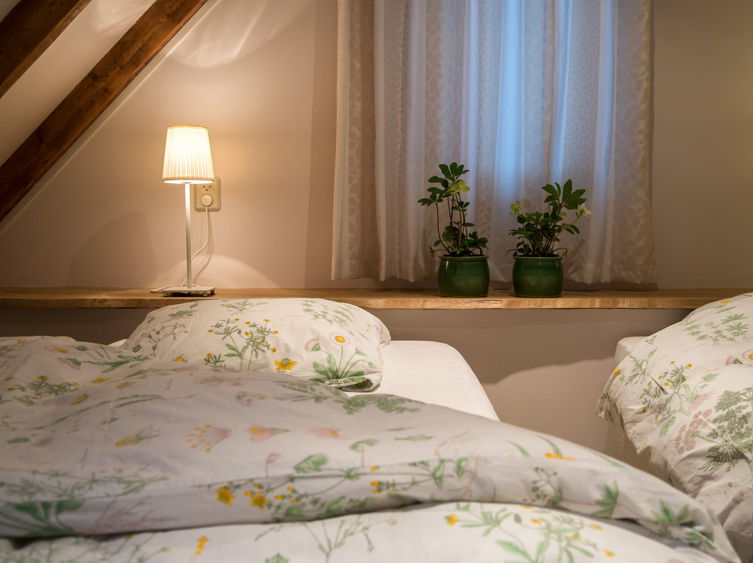 B&B Erve Dimmendael主图