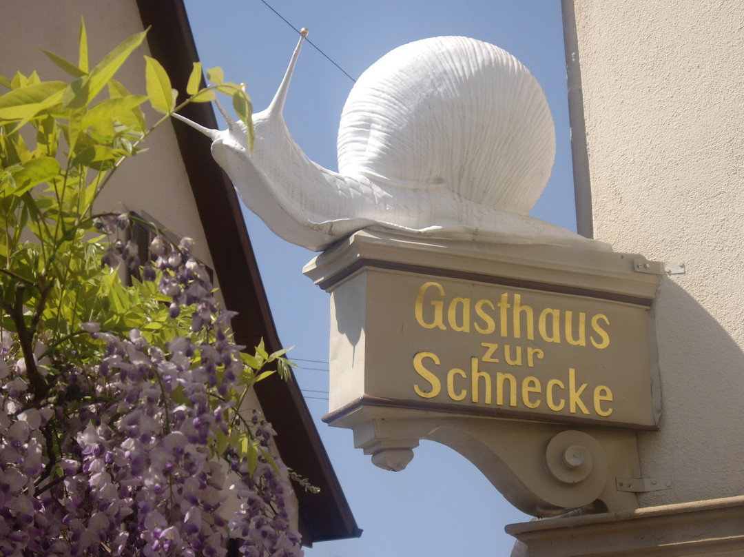 Gasthaus zur Schnecke主图