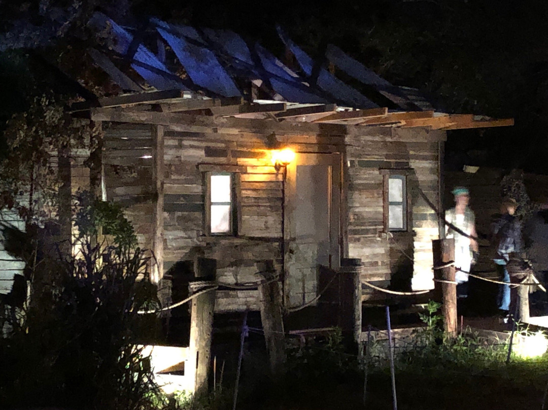 A Petrified Forest-阿尔塔蒙特斯普林斯必去景点