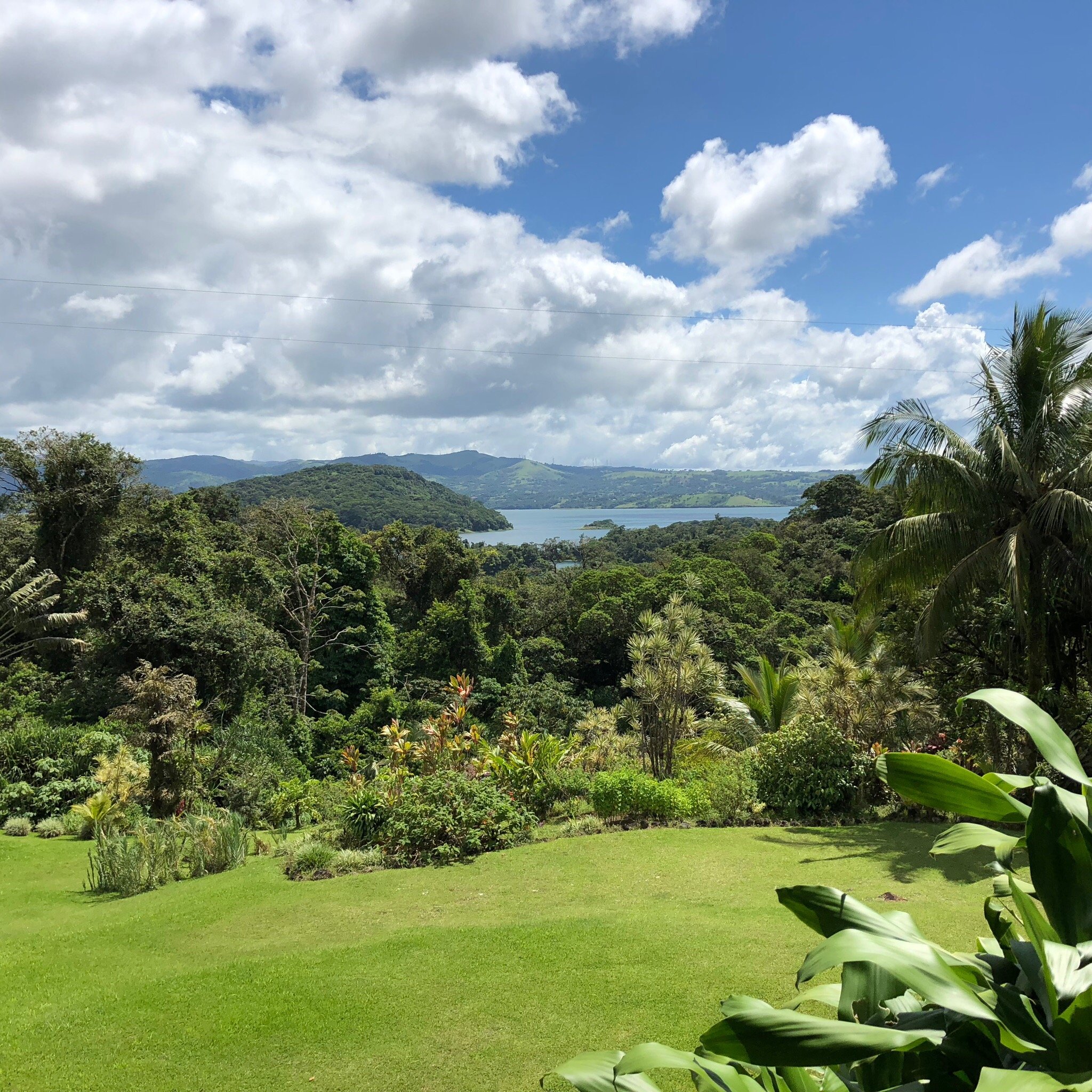 La Rana de Arenal-官方