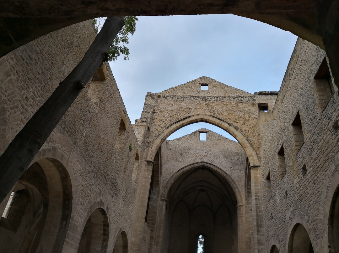 Chiesa di Santa Maria dello Spasimo景点图片