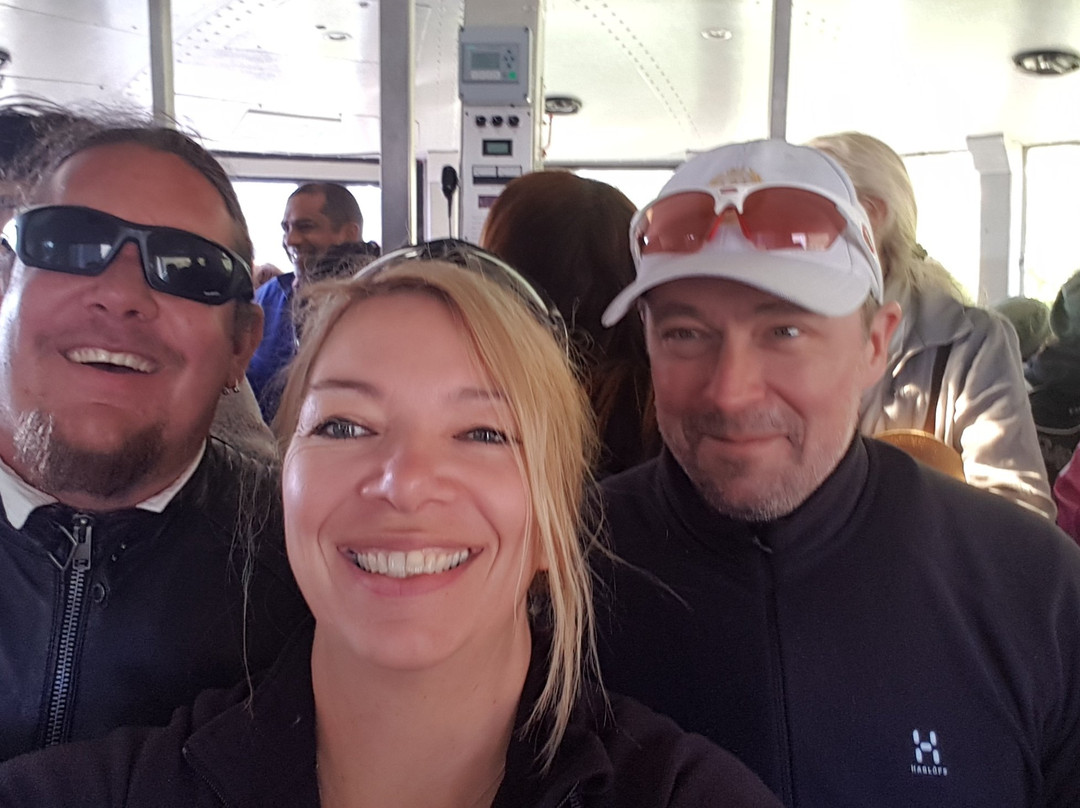 Freedom of the Cape Tours-开普敦中心区必去景点