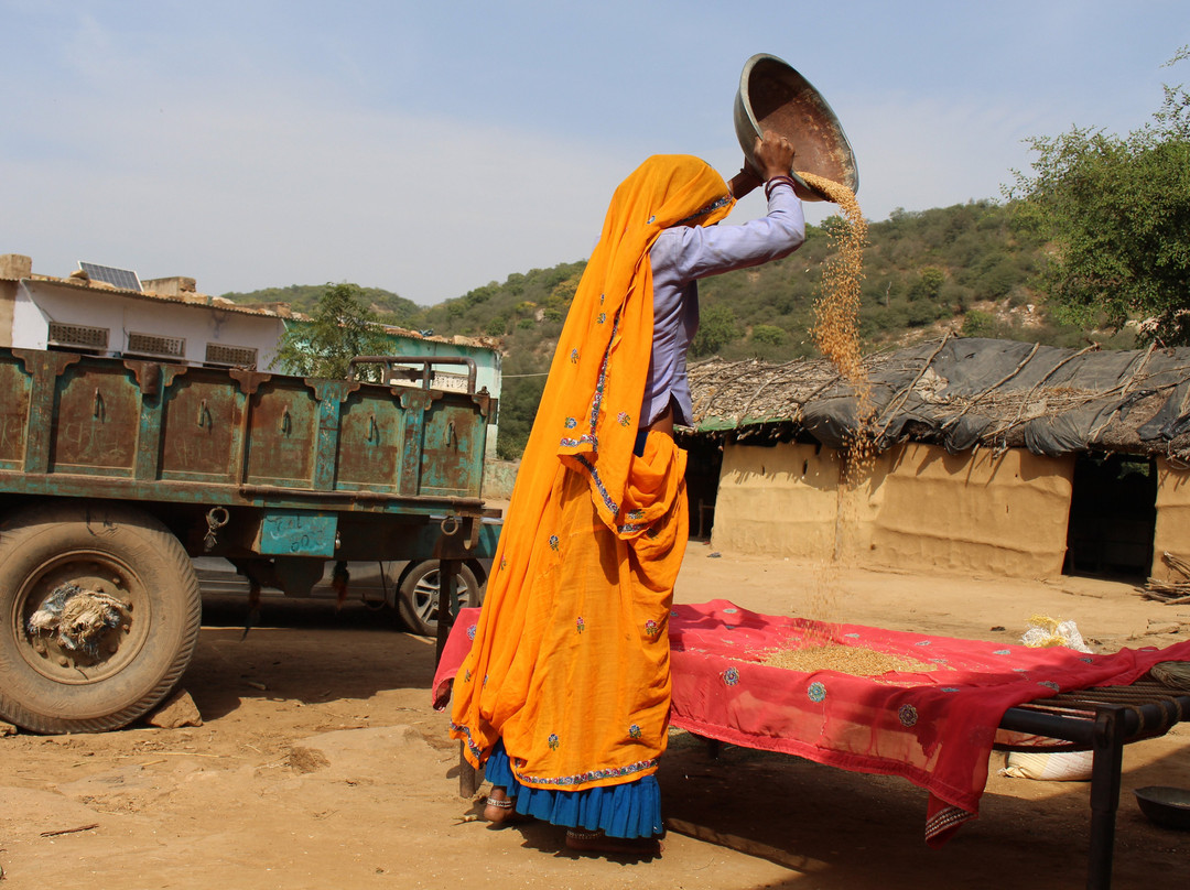 ToRoots-斋蒲尔必去景点