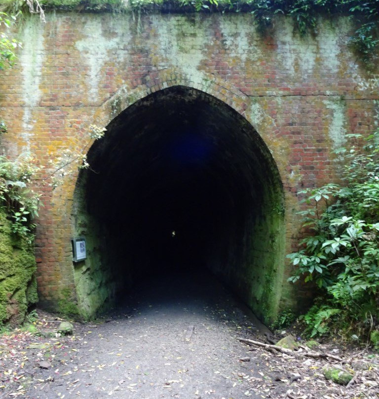 Tunnel Hill景点图片