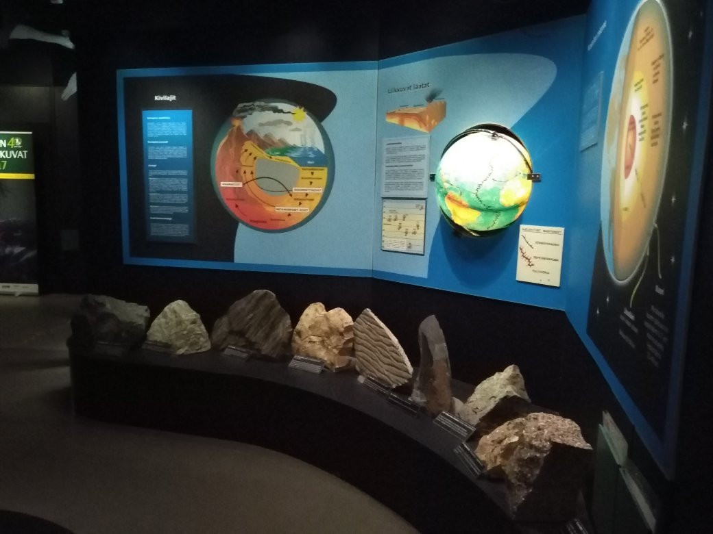 Natural History Museum of Central Finland-于韦斯屈莱必去景点