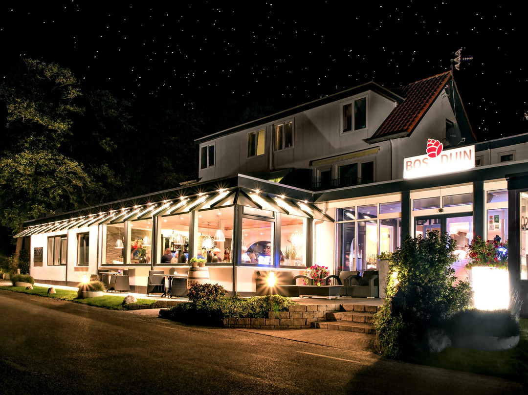 Appartementen Hotel Bos en Duin主图