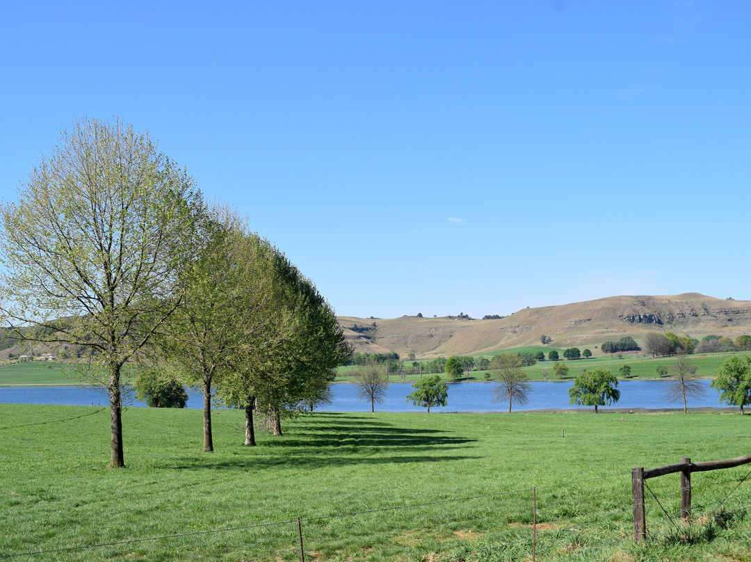 Elgin Guesthouse & Farm主图