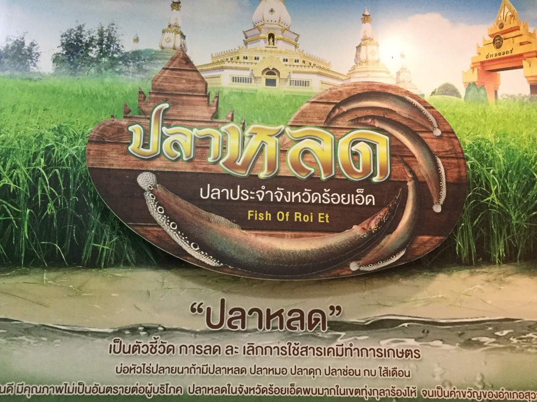 Mueang Roi Et Municipality Aquarium景点图片