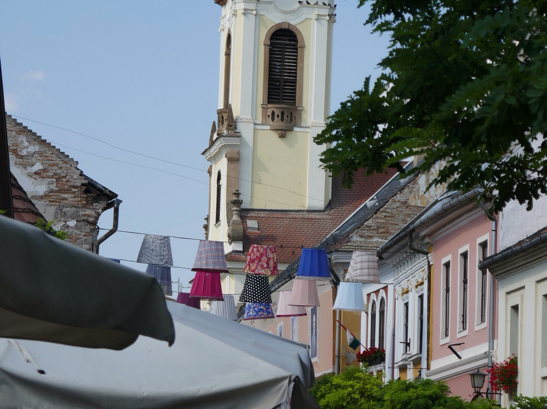 Szentendre Aquarium and Terrarium House景点图片