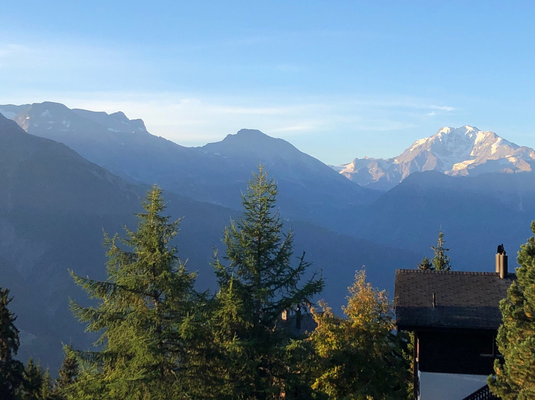 Golfhotel Riederhof主图