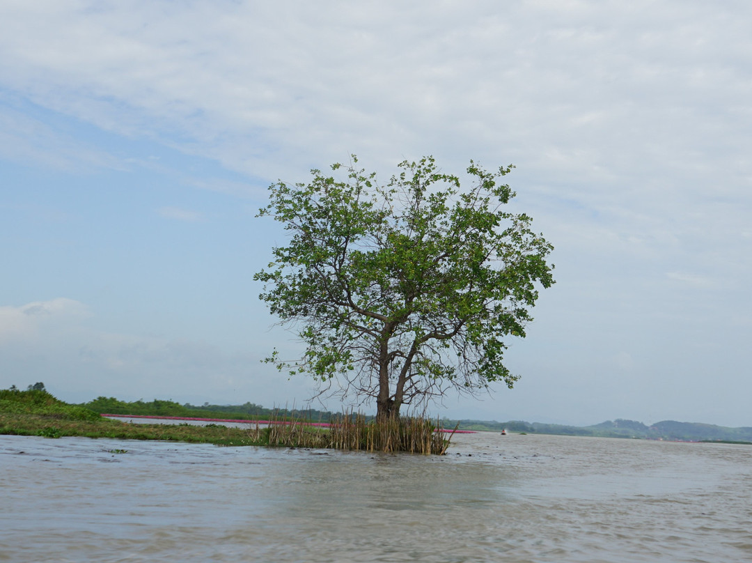 Thale Noi Waterfowl Park景点图片