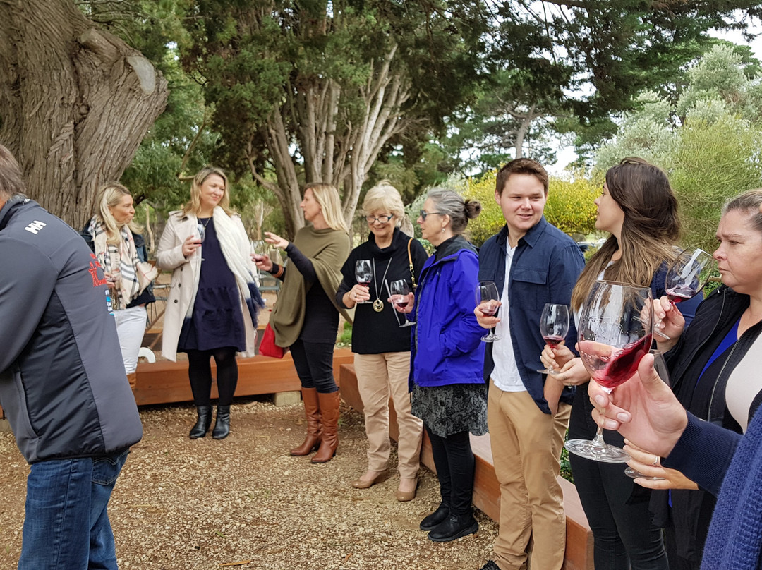 Wilsons Wine Tours Geelong-季隆必去景点
