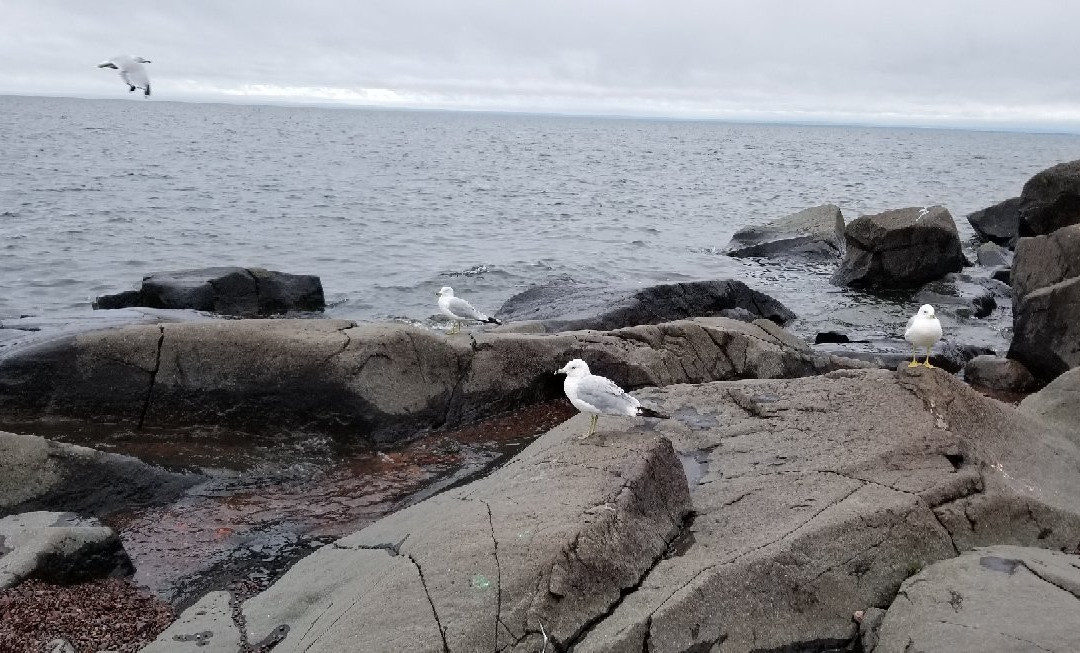 Brighton Beach Park-德卢斯必去景点