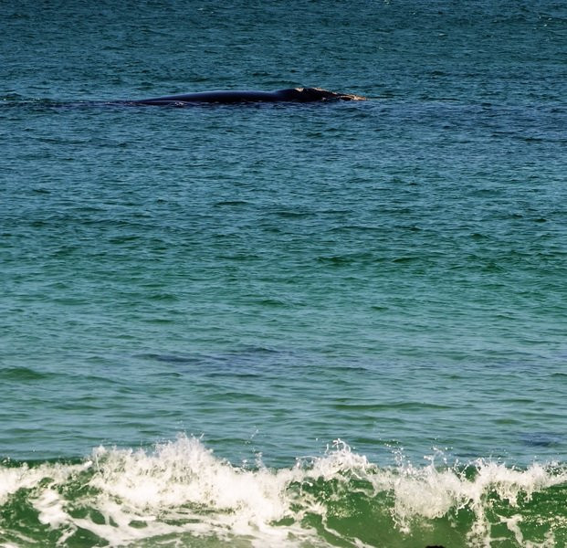 TourScape-St. James必去景点
