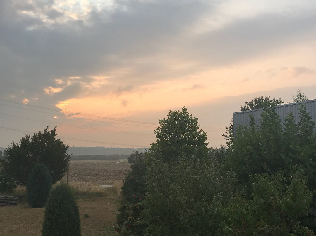 Hotel Zielonka主图