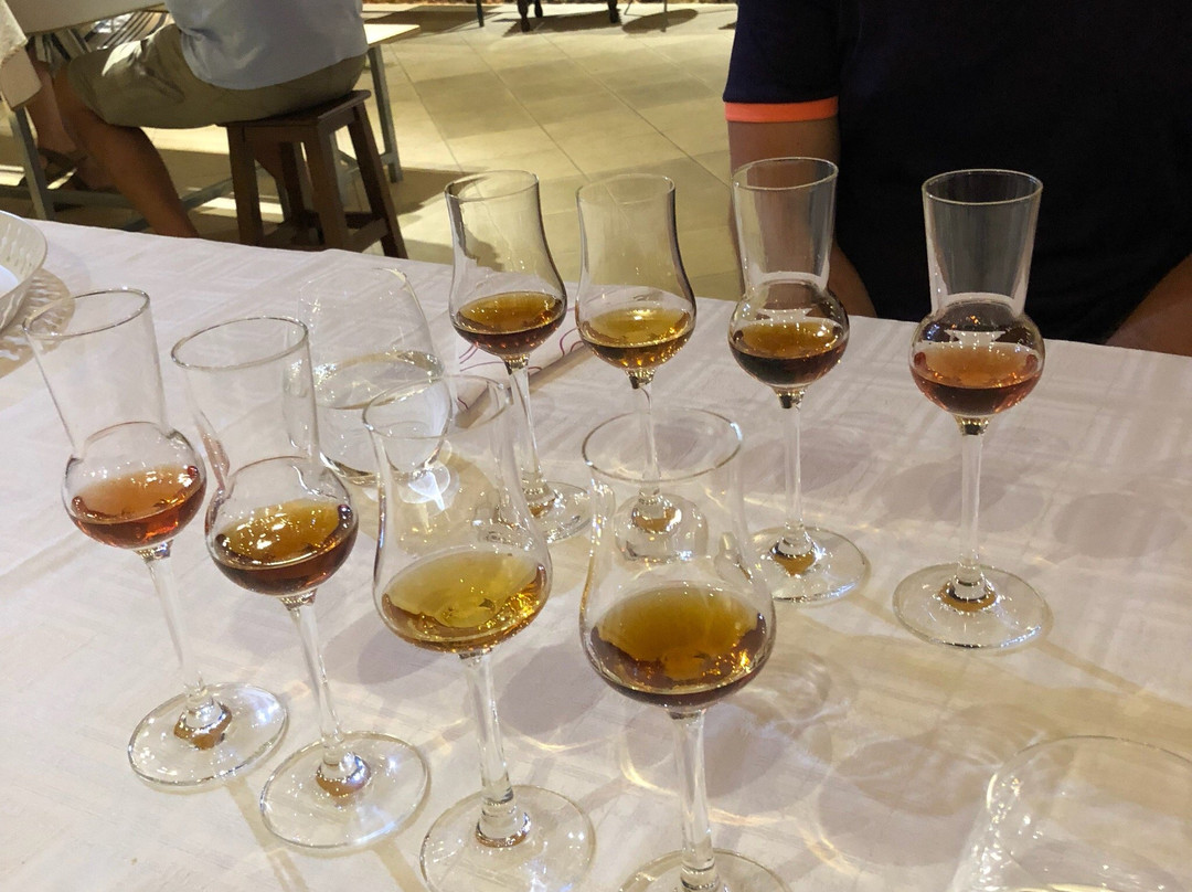 A Casa do Arrabidine-Palmela必去景点