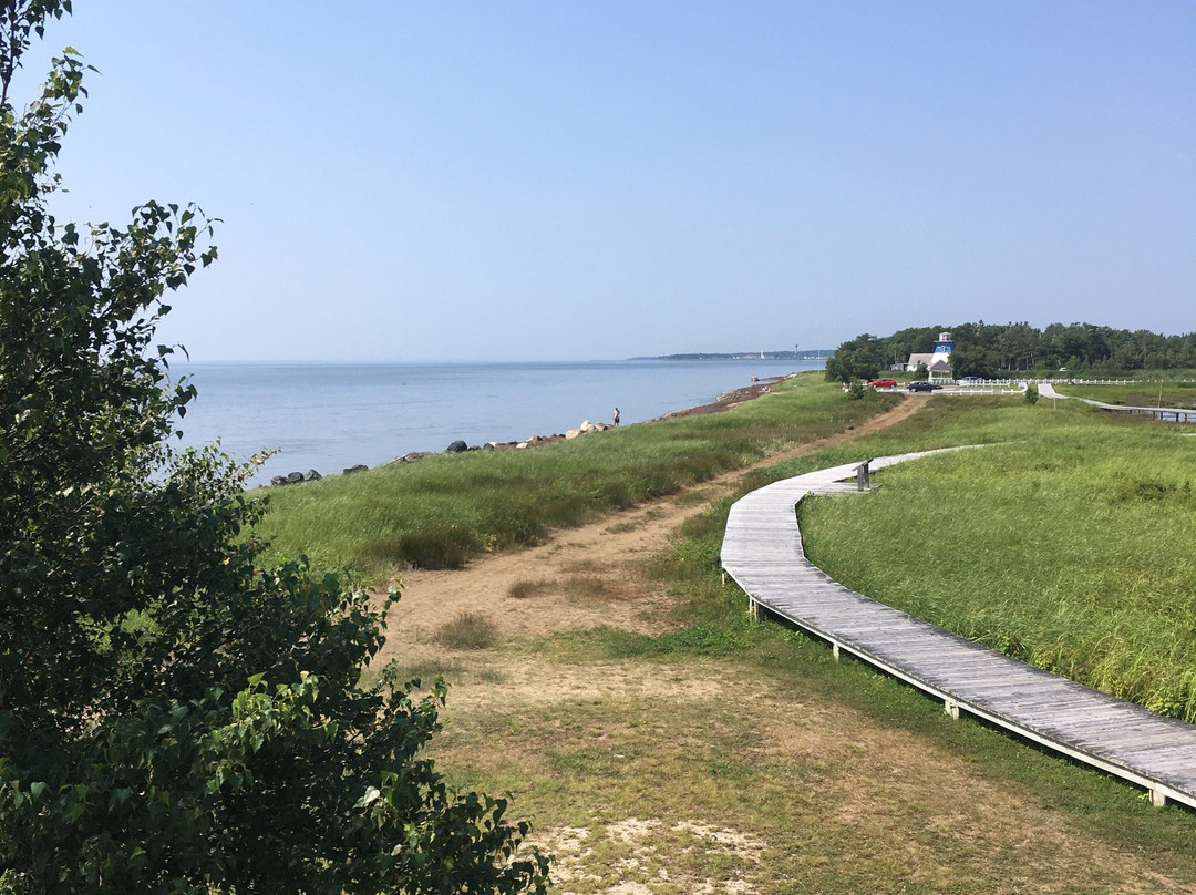 Neguac Bird Sanctuary (Ile-Aux-Foins Park)-Neguac必去景点