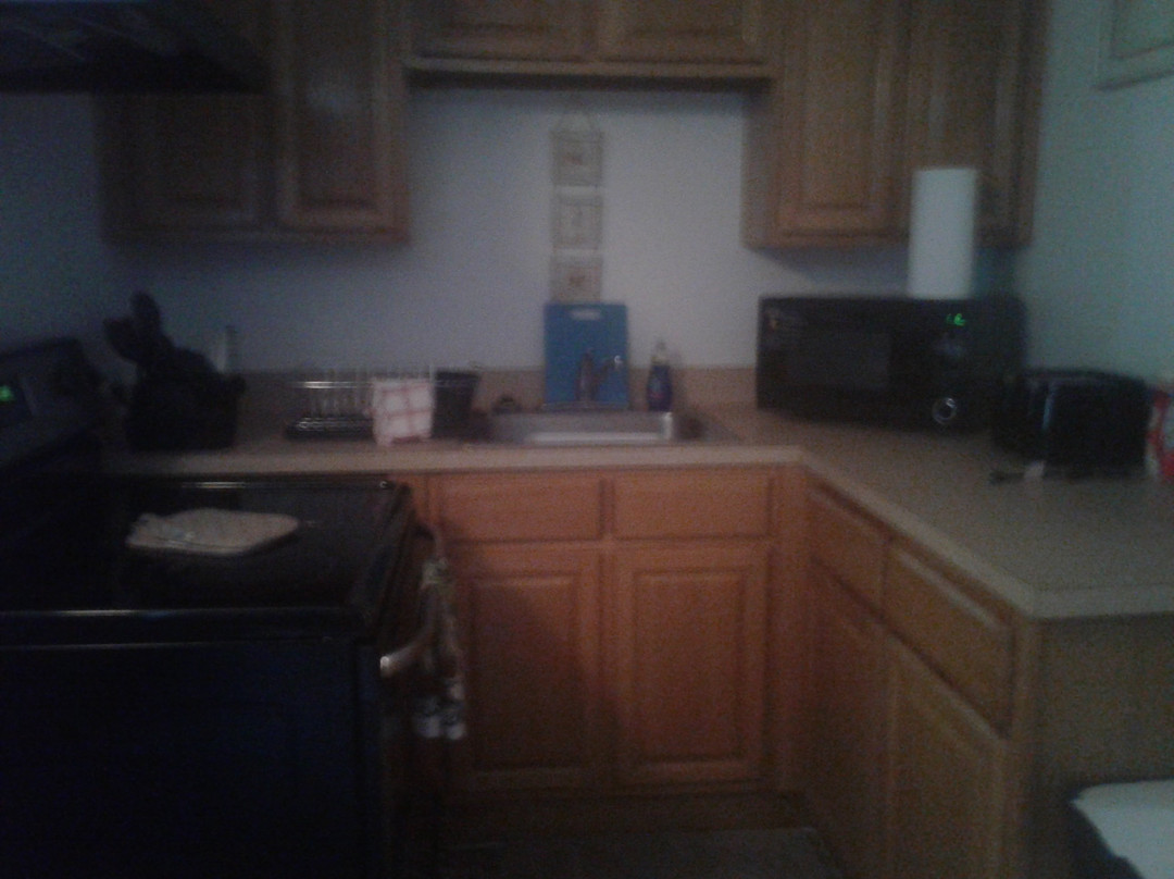 The Aloha Motel Apartments主图