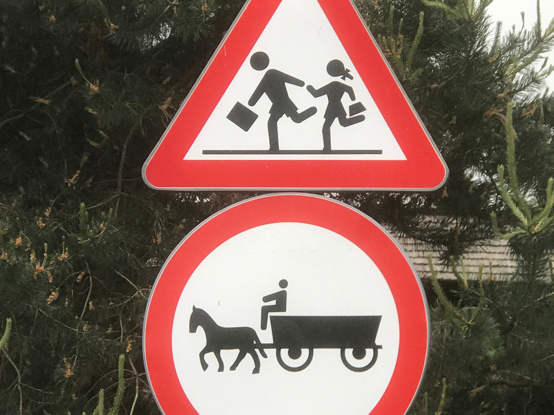 Claudio M. Private Driver Romania景点图片