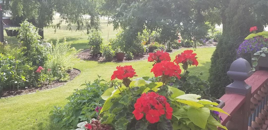 Le Chateau The Manor Bed and Breakfast主图