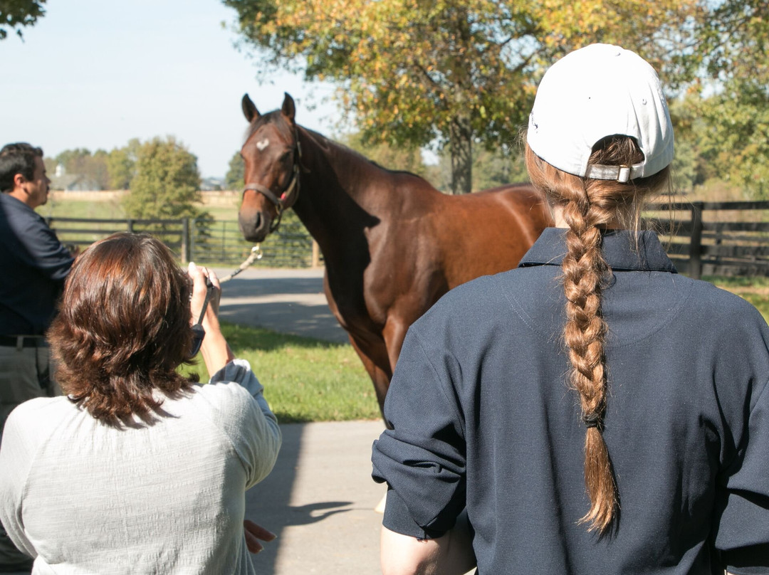 Stonestreet Farm-列克星敦必去景点