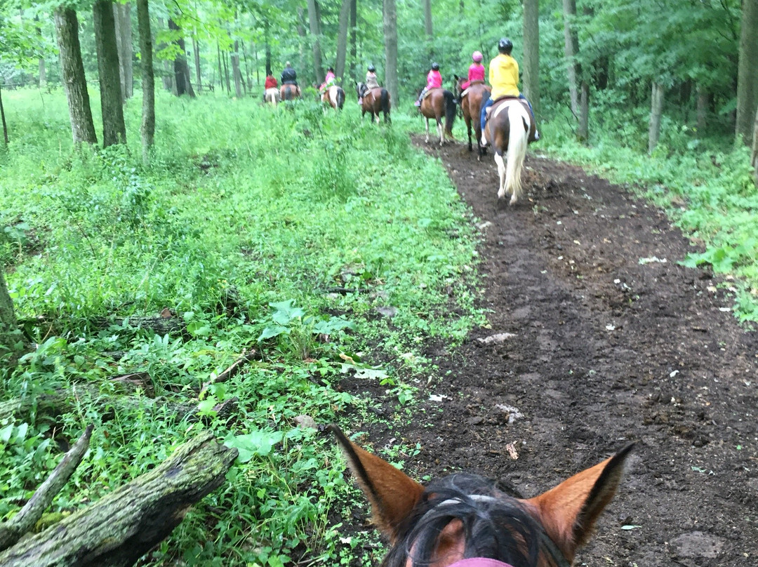 Fallbrook Trail Ranch-Georgetown必去景点