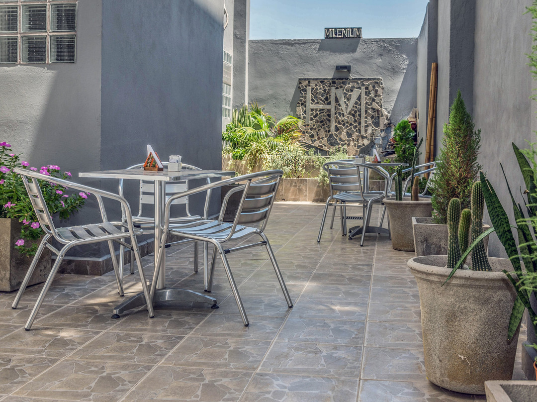 Hotel Milenium主图