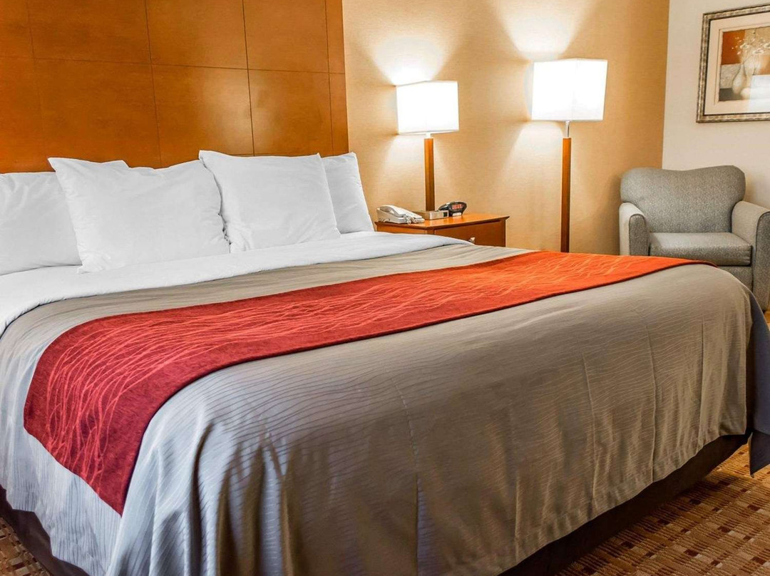 Comfort Inn & Suites Franklin主图