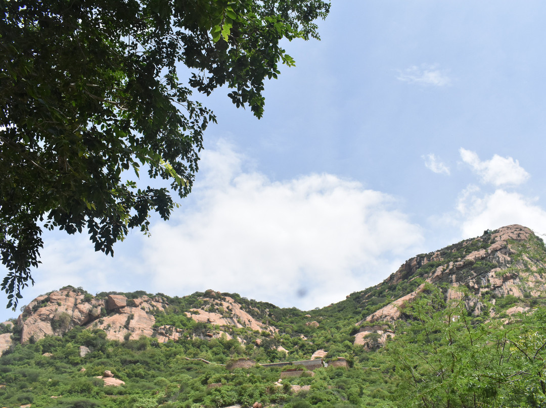 Sankagiri Fort景点图片