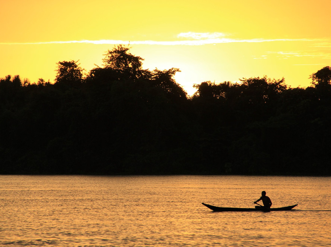 Orinoco Delta景点图片