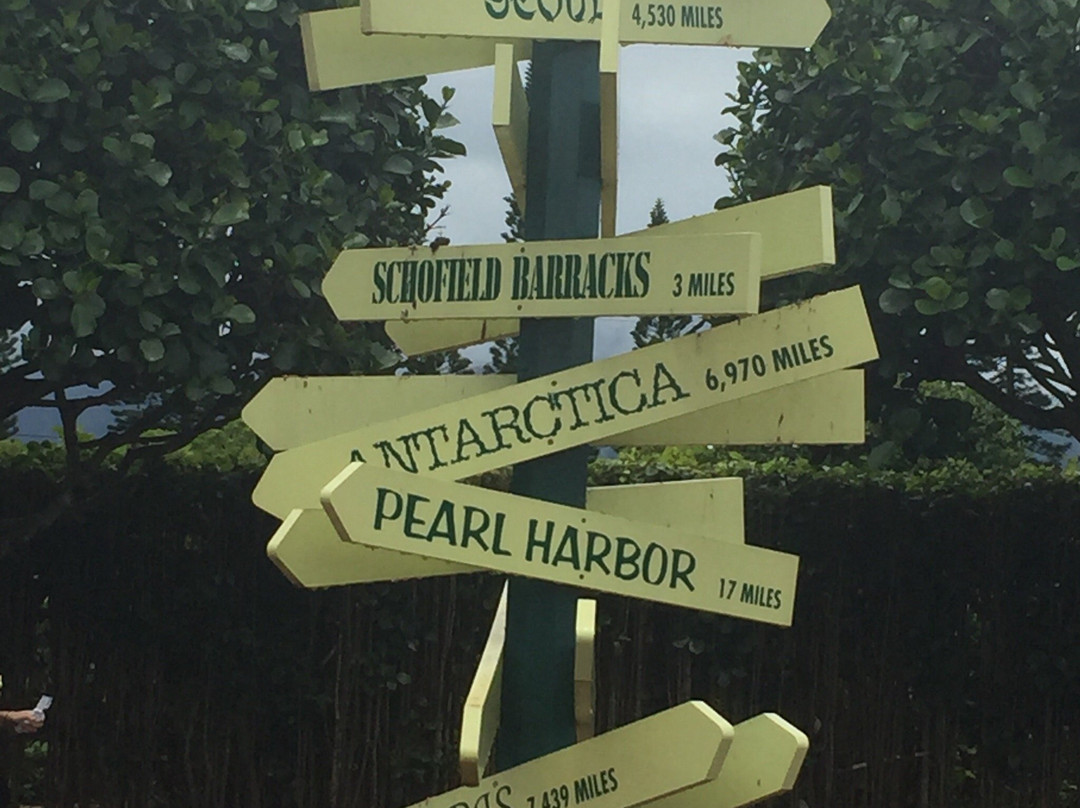 菠萝园——火山酒店主图