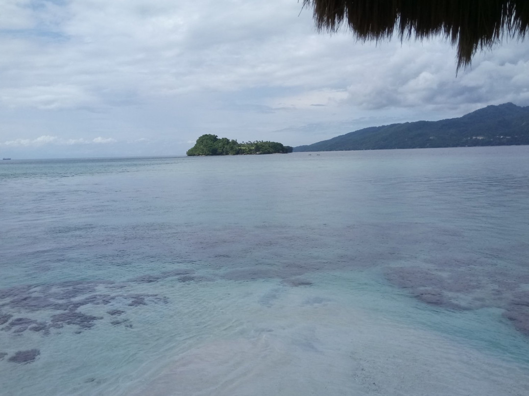 The Island Buenavista主图