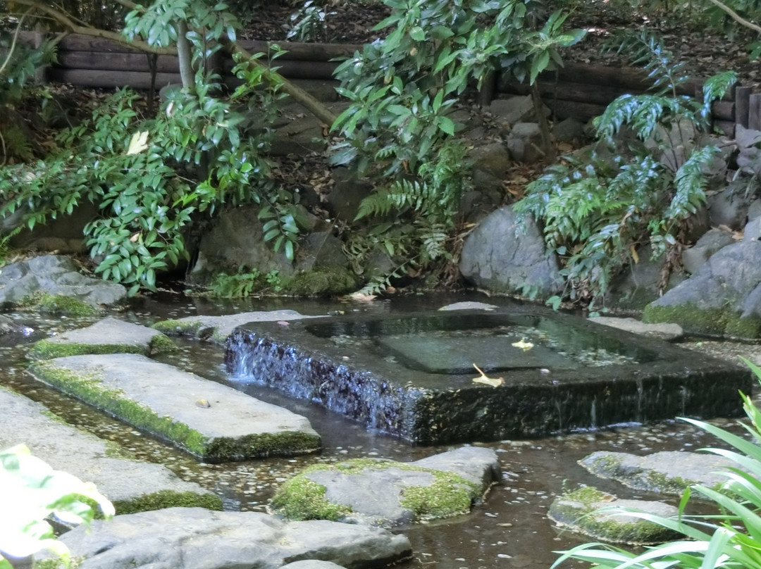 Ochanomizu Pond