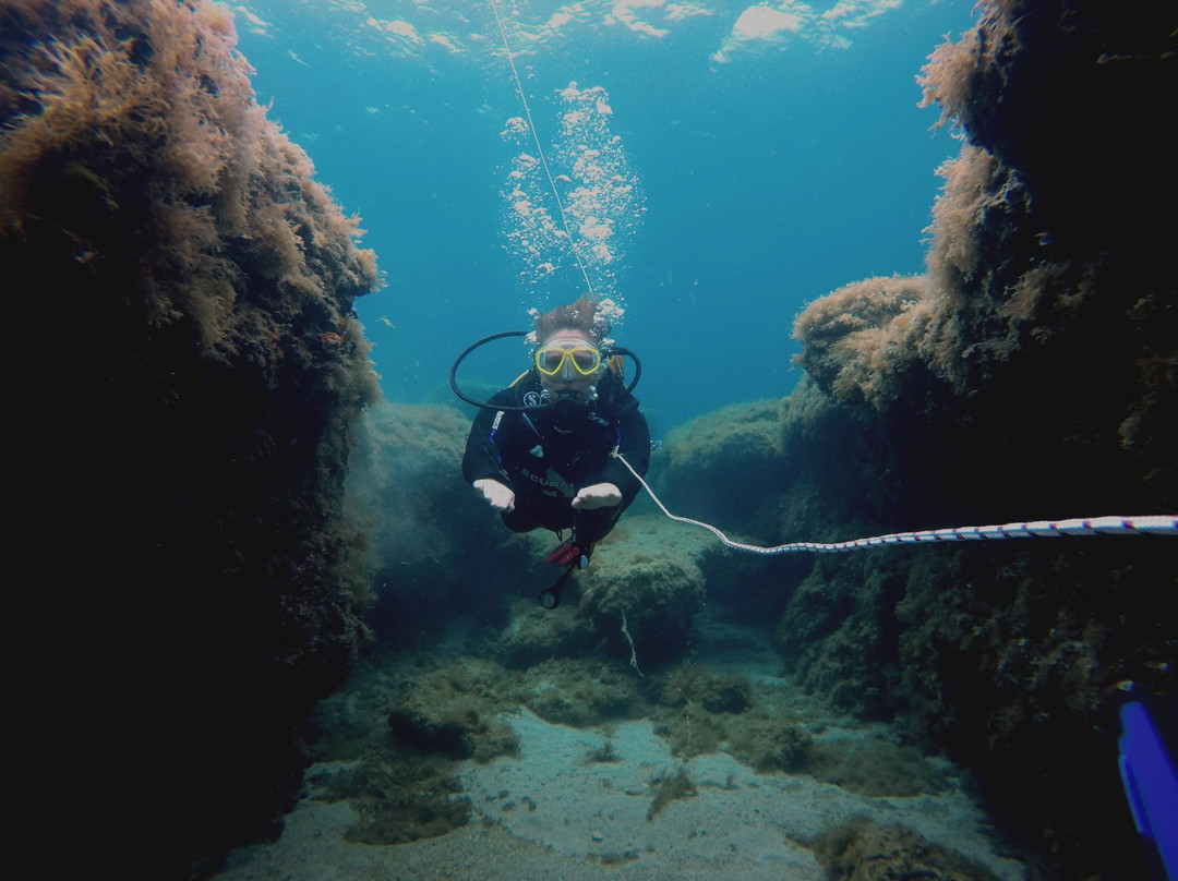 Go Scuba Diving-Agia Marina必去景点