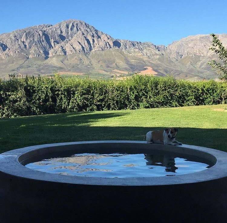 Seven Oaks Vineyard Cottages